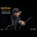 HARRY POTTER (CHILD)  