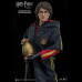 HARRY POTTER (TRI-WIZARD TOURAMENT)  