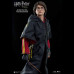 HARRY POTTER (TRI-WIZARD TOURAMENT)  