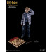 RON WEASLEY (CASUAL WEAR)  