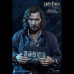 SIRIUS BLACK (PRISONER)  