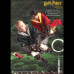 HARRY & MALFOY (QUIDDITCH)  