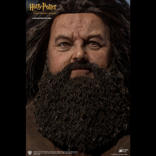 RUBEUS HAGRID  