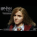 HERMIONE GRANGER (TEENAGER)  