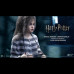 BELLATRIX LESTRANGE (PRISONER)  