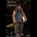 RUBEUS HAGRID 2.0  