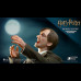 REMUS LUPIN (DELUXE/NORMAL)  
