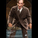 REMUS LUPIN (DELUXE/NORMAL)  