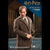 REMUS LUPIN (DELUXE/NORMAL)  