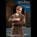REMUS LUPIN (DELUXE/NORMAL)  