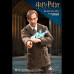 REMUS LUPIN (DELUXE/NORMAL)  