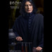 SEVERUS SNAPE 2.0