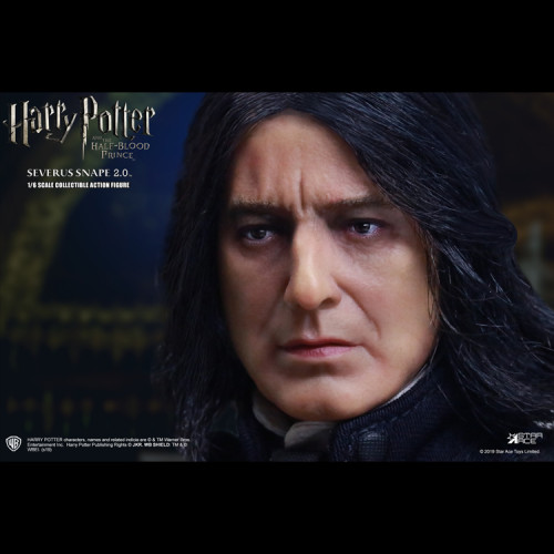 SEVERUS SNAPE 2.0