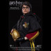 HARRY POTTER 1: 8 (TRIWIZARD)