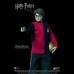 HARRY POTTER 1: 8 (TRIWIZARD)