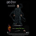 LORD VOLDEMORT 1: 8