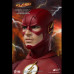 THE FLASH 1.0