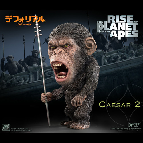 DF CAESAR 1 / 2 (DX)  