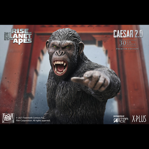 CAESAR 2.0 (NX / DX)  