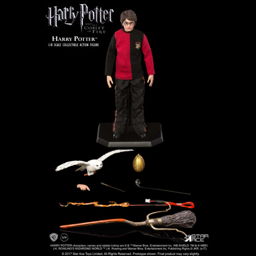 HARRY POTTER 1: 8 (TRIWIZARD)