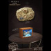 Nautilus & Trilobites Frame & Fossil