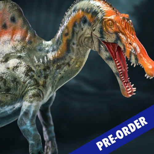 Spinosaurus 1.0 & Fossil