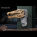 T Rex & Spinosaurus Head Skull
