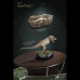 Tyrannosaurus Rex (T-Rex) & Fossil
