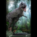 Tyrannosaurus Rex (T-Rex) & Fossil