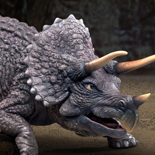 Triceratops (Model Kit)