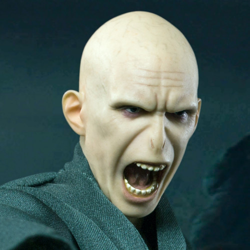 LORD VOLDEMORT 1: 8